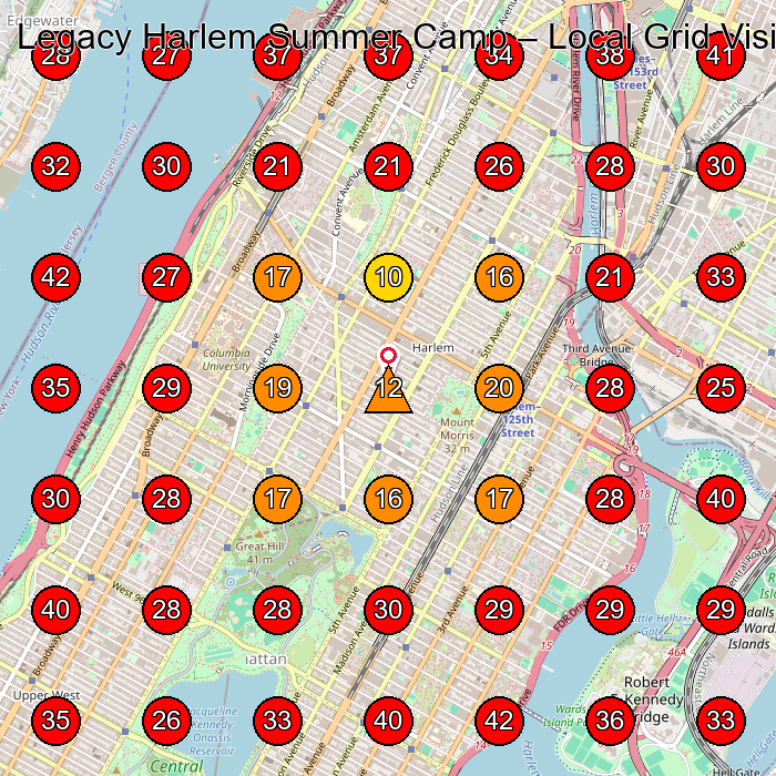 Legacy Harlem Summer Camp GeoGrid visibility map for Tea Manufacturer in New York